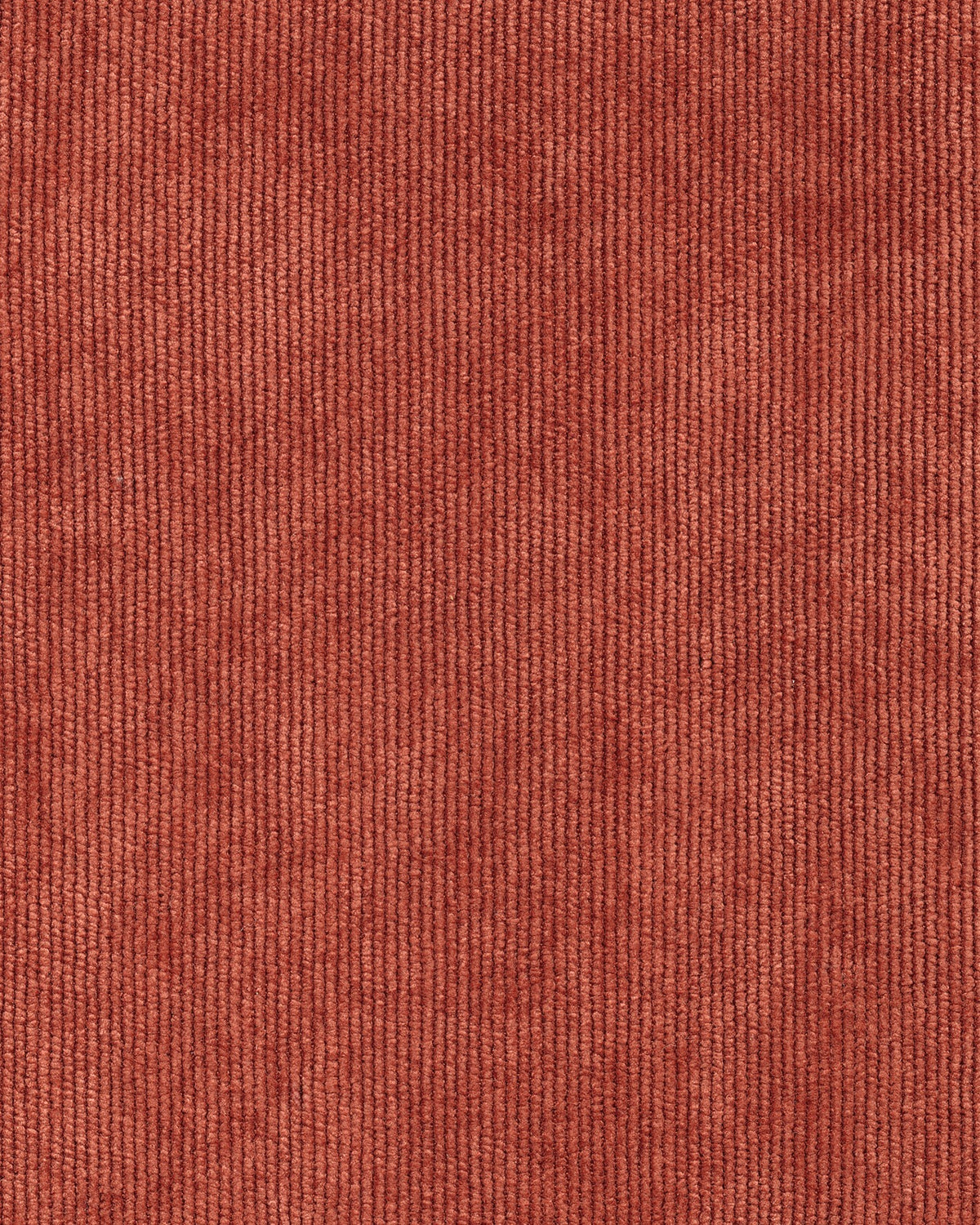 Behangstaal Élitis Alcôve II Garçonnière RM 1063 79 – dessin en kleur van dichtbij