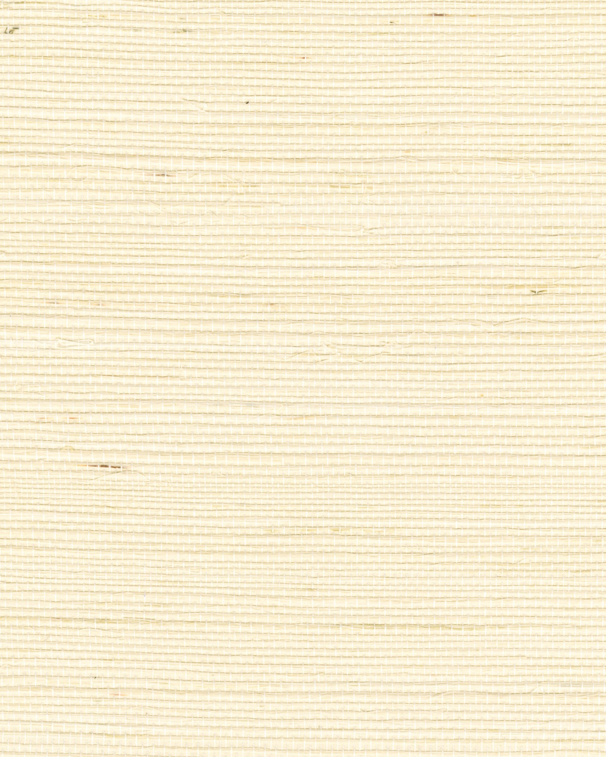 Behangstaal Élitis Tribus Sisal RM 1069 01 – dessin en kleur van dichtbij