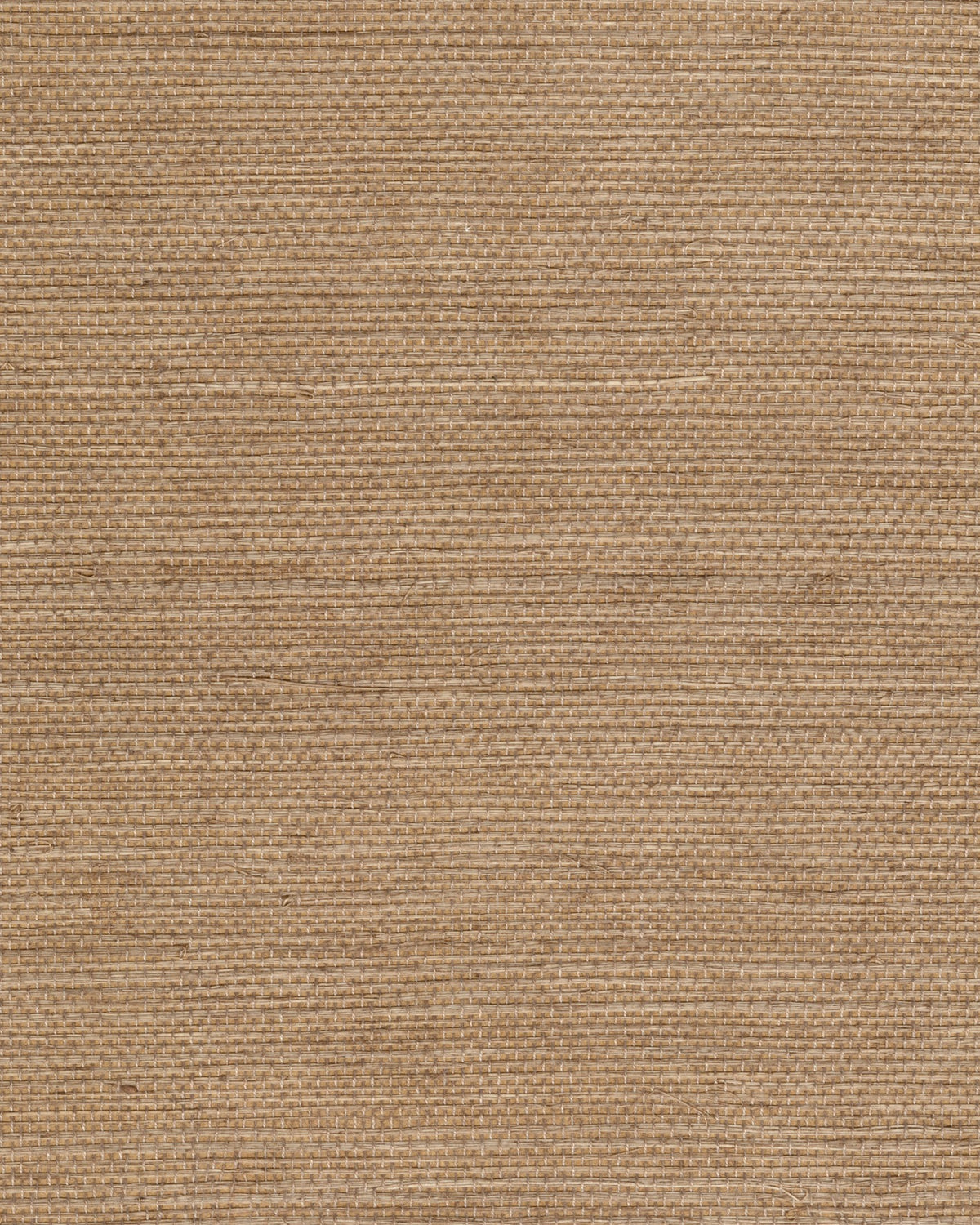 Élitis Maestria Sisal RM 1069 04 – dessin en kleur van dichtbij