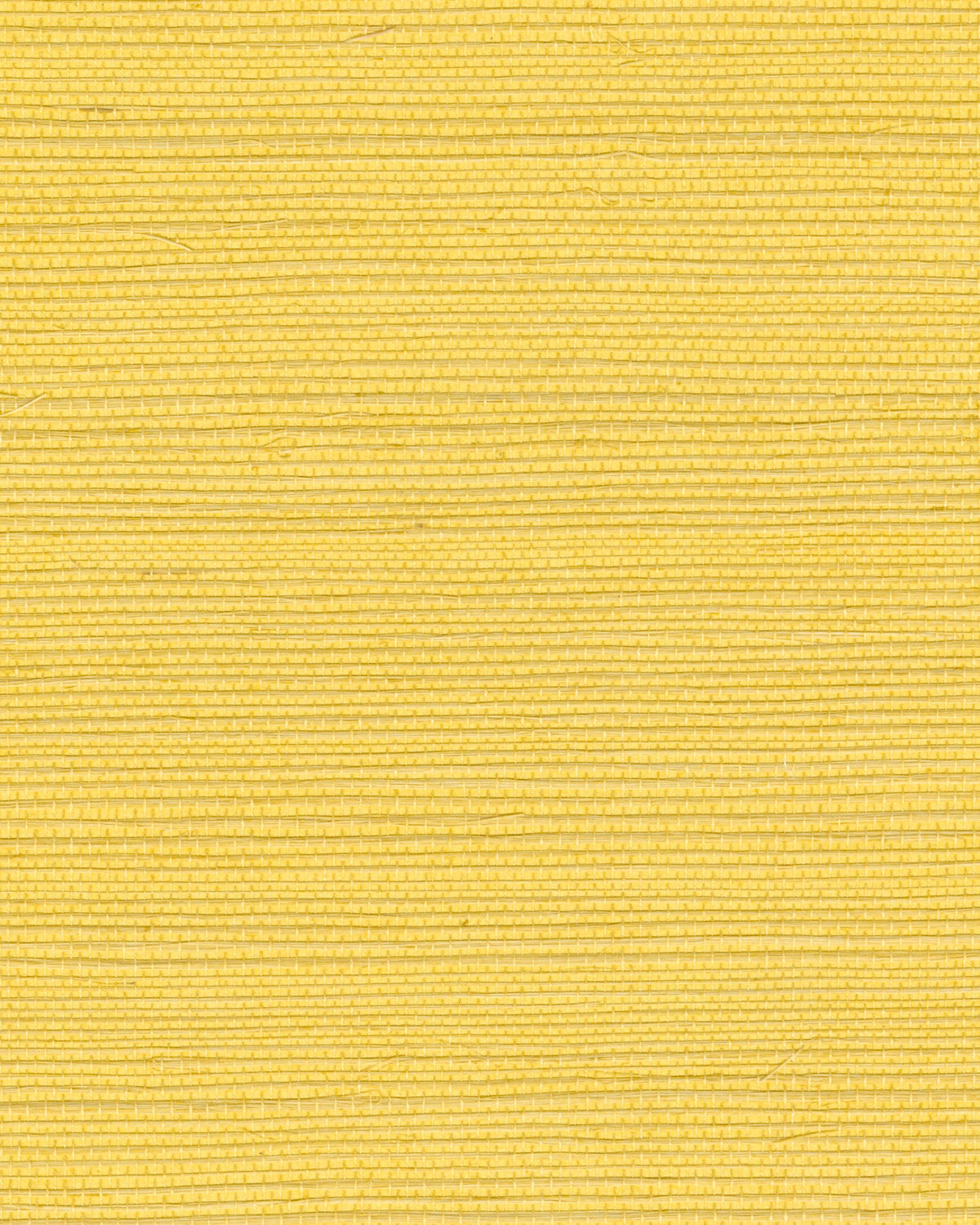 Behangstaal Élitis Tribus Sisal RM 1069 21 – dessin en kleur van dichtbij