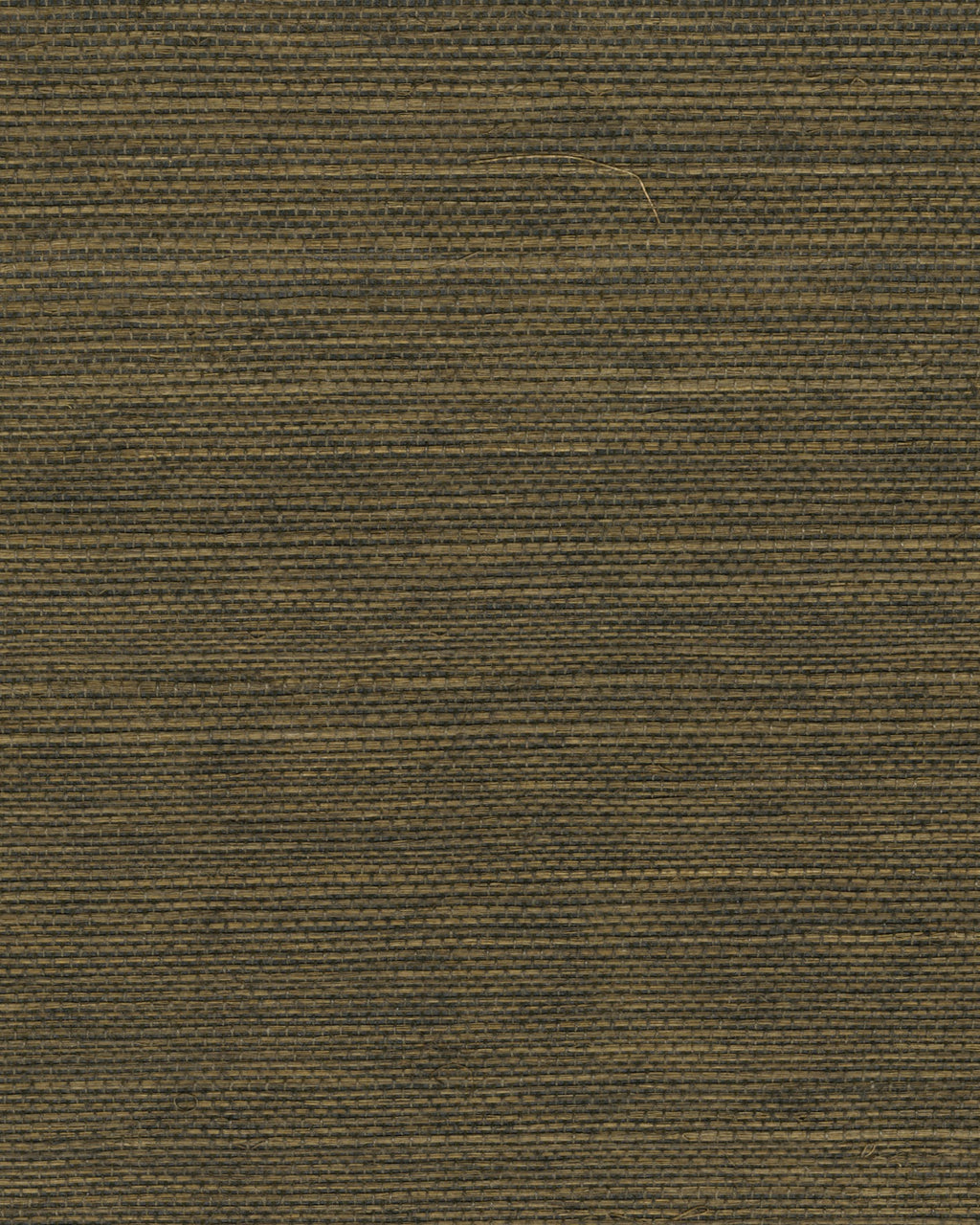 Élitis Maestria Sisal RM 1069 60 – dessin en kleur van dichtbij