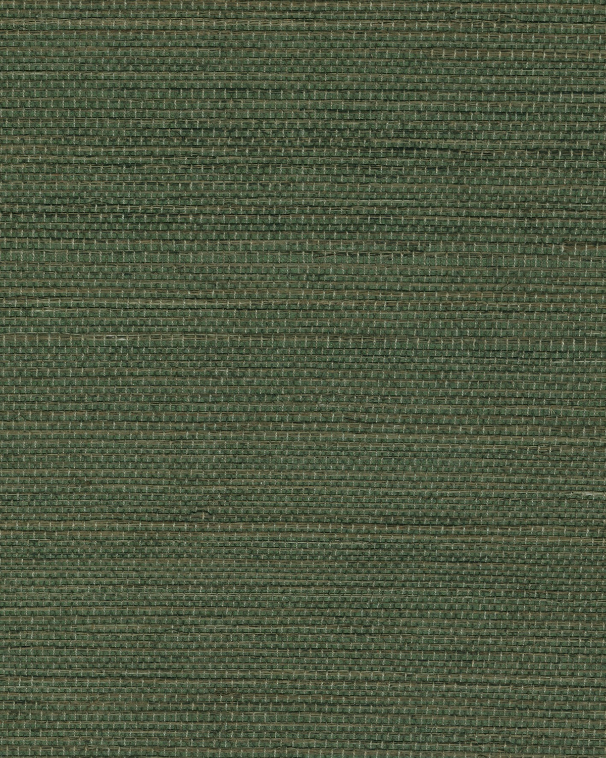 Élitis Tribus Sisal RM 1069 62 – dessin en kleur van dichtbij