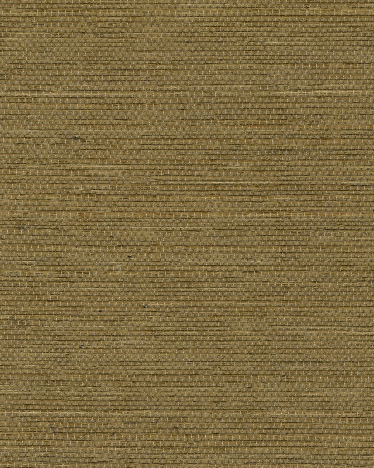 Élitis Tribus Sisal RM 1069 66 – dessin en kleur van dichtbij
