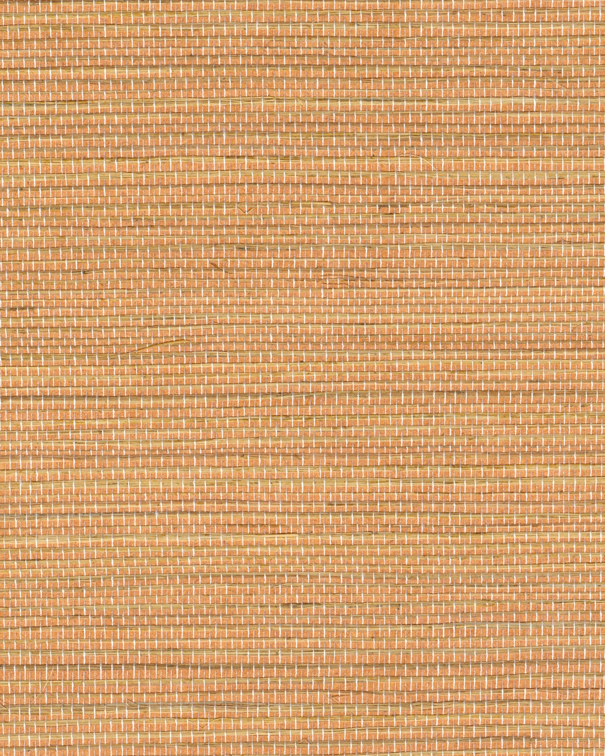 Élitis Tribus Favoris RM 1070 11 – dessin en kleur van dichtbij