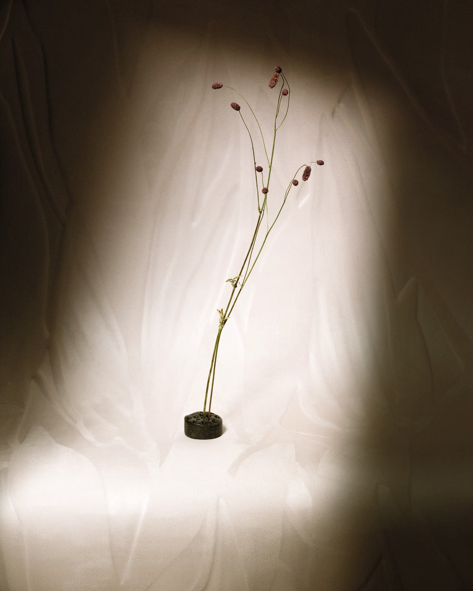 Élitis Velatura Herbier RM 1099 03 in een sfeervol interieur