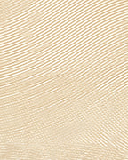 Élitis Écume Lithos RM 1119 05 – dessin en kleur van dichtbij