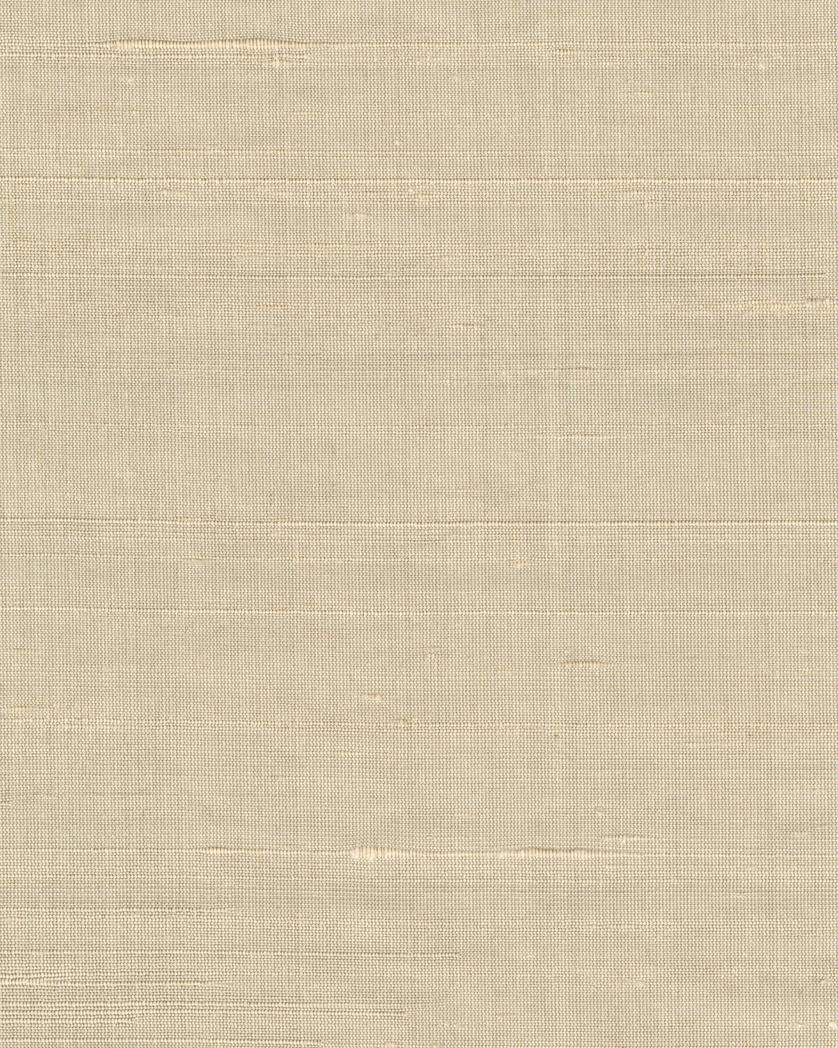 Élitis Pamir Forever II RM 1130 03 – dessin en kleur van dichtbij