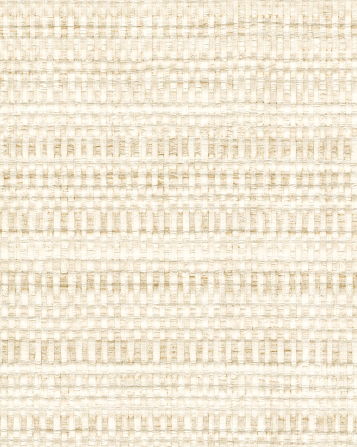 Élitis Madagascar Arrowroot Raw Raffia Raffia II VP 1048 01 – dessin en kleur van dichtbij