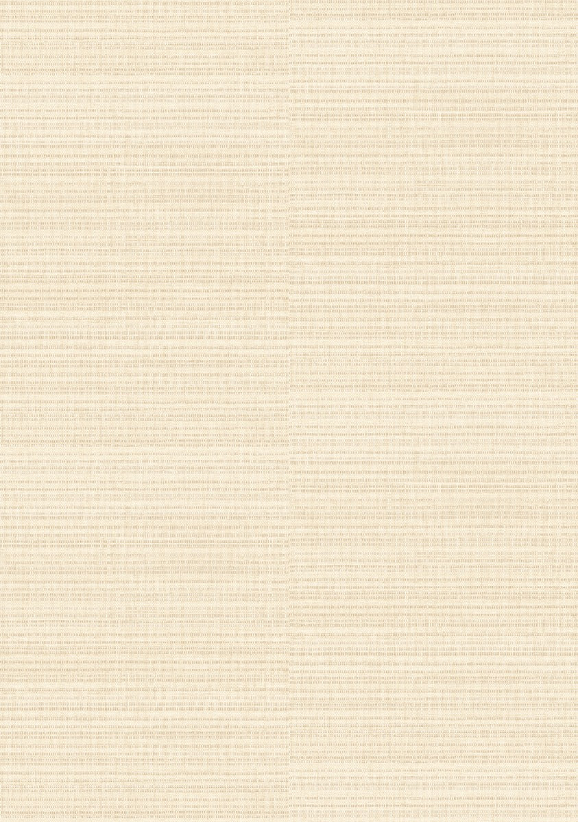 Élitis Madagascar Arrowroot Raw Raffia Raffia II VP 1048 02 – patroon over meerdere banen