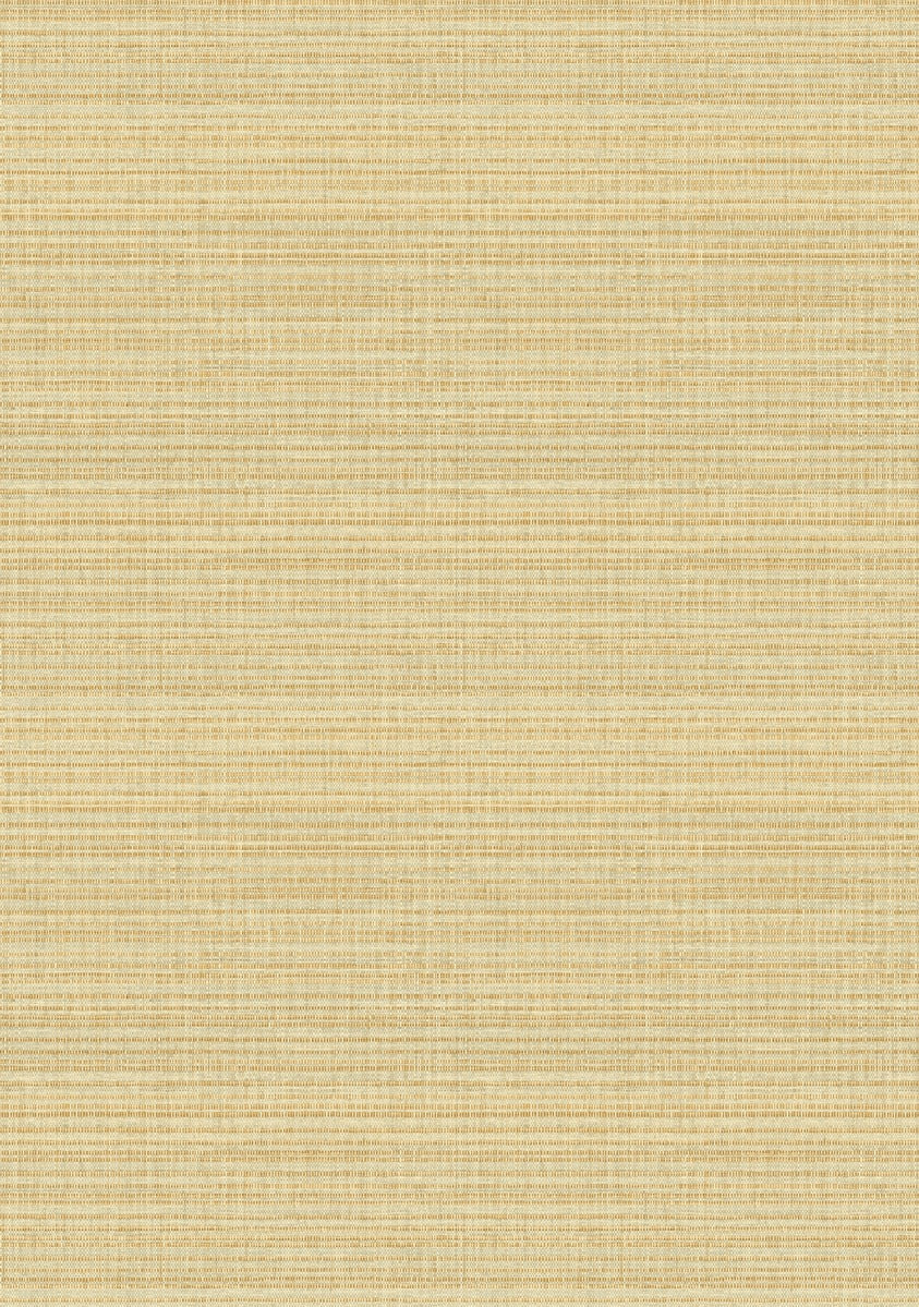 Élitis Madagascar Arrowroot Raw Raffia Raffia II VP 1048 06 – patroon over meerdere banen