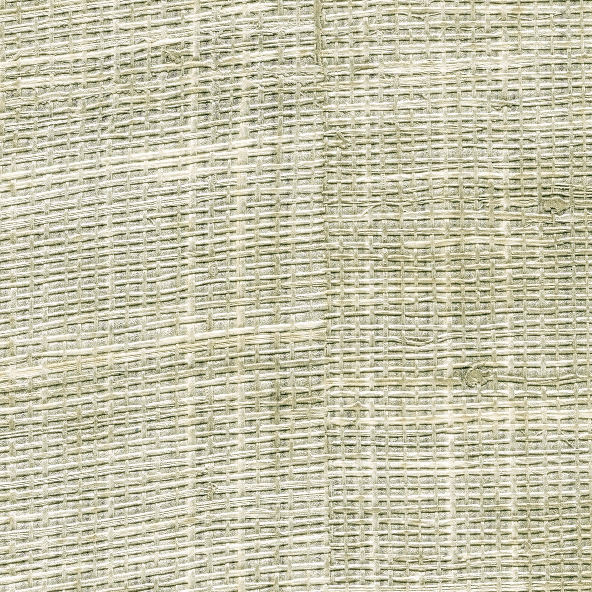 Élitis Raffia & Madagascar Raffia VP 601 10 – dessin en kleur van dichtbij