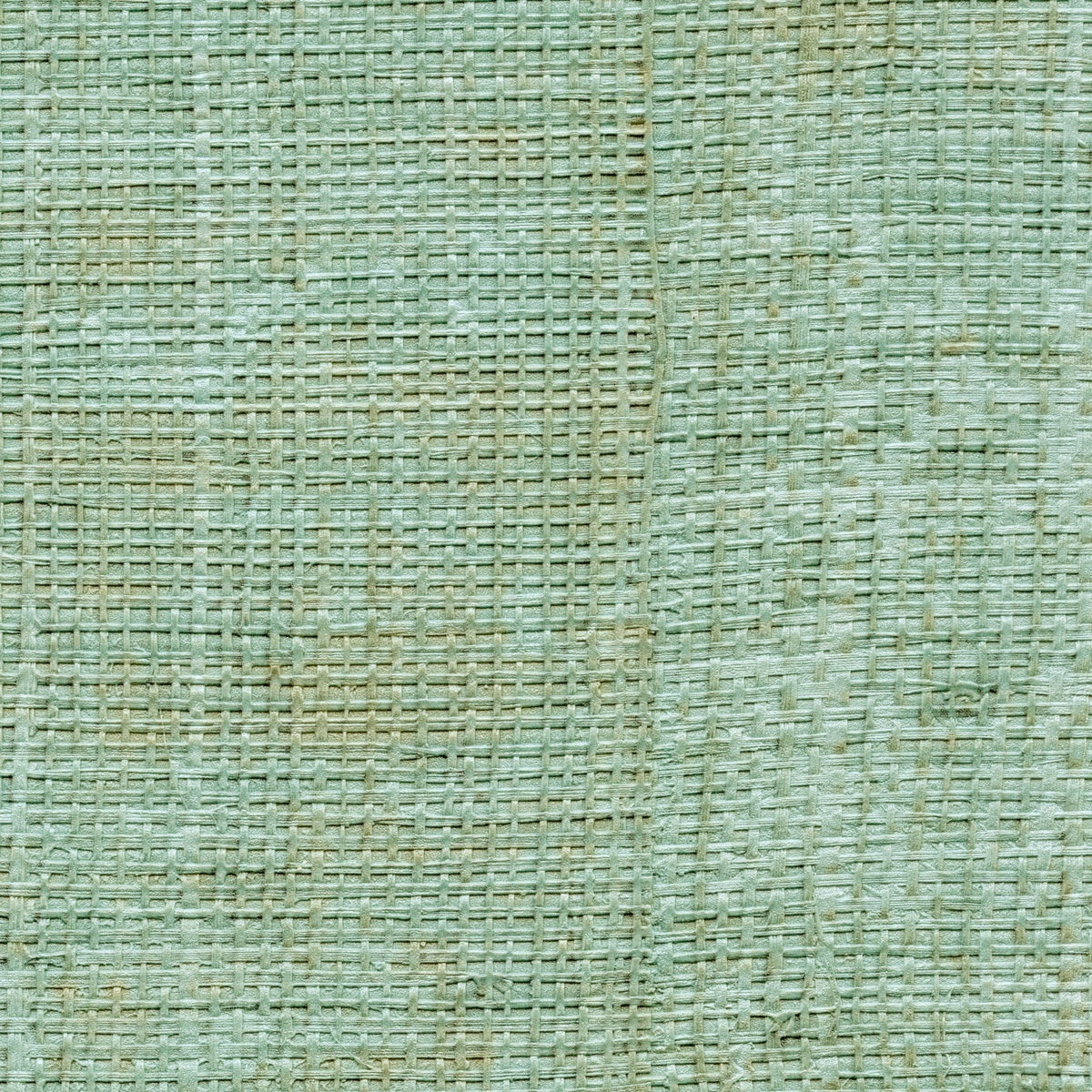 Élitis Raffia & Madagascar Raffia VP 601 42 – dessin en kleur van dichtbij
