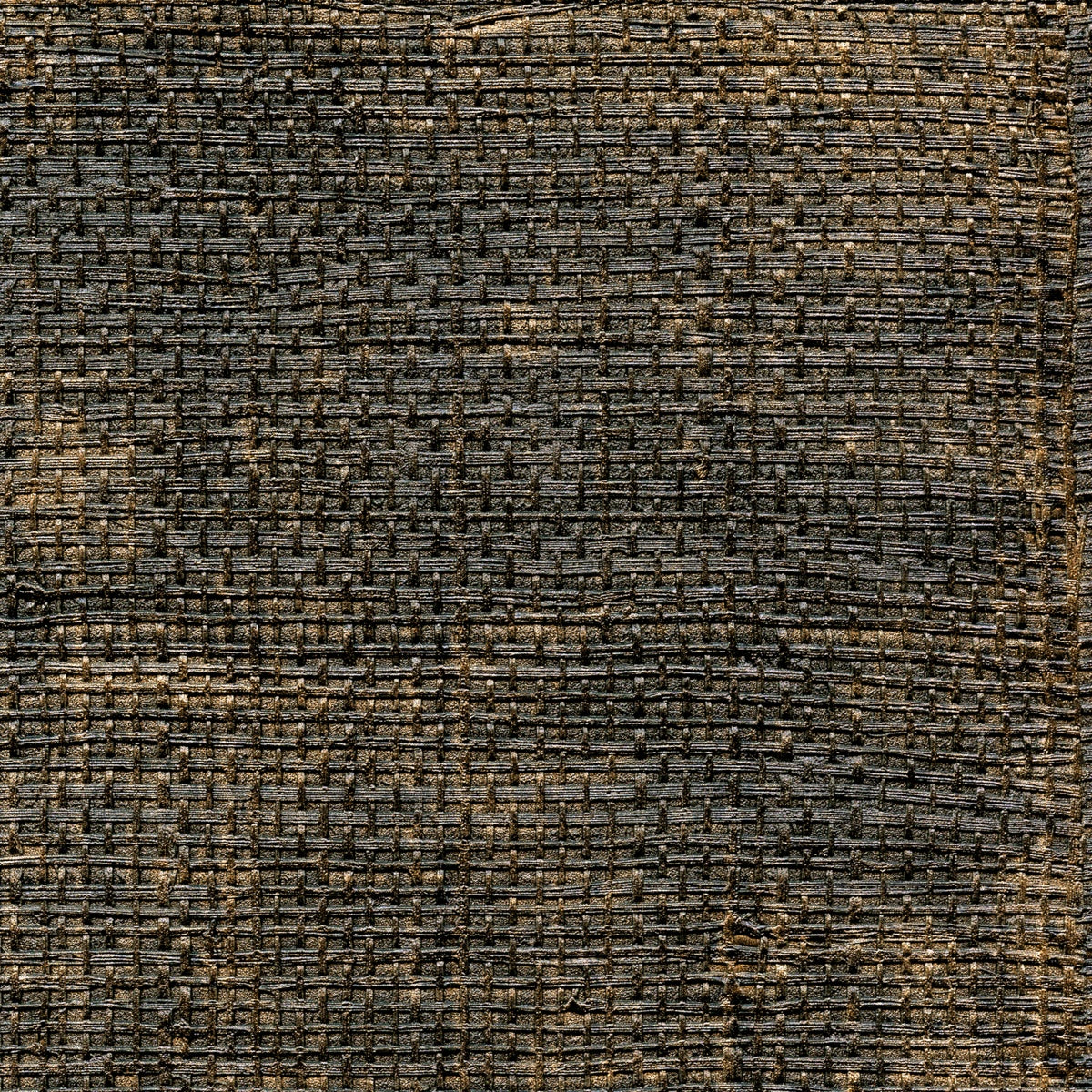 Élitis Raffia & Madagascar Raffia VP 601 80 – dessin en kleur van dichtbij