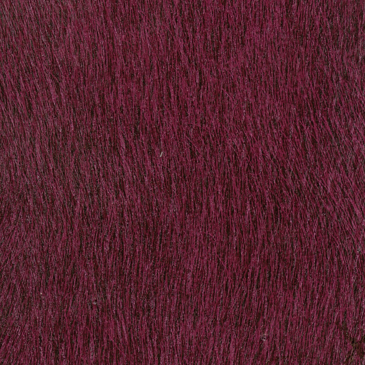 Élitis Natives VP 625 23 – dessin en kleur van dichtbij