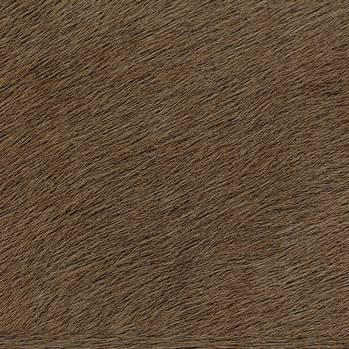 Élitis Natives VP 625 26 – dessin en kleur van dichtbij