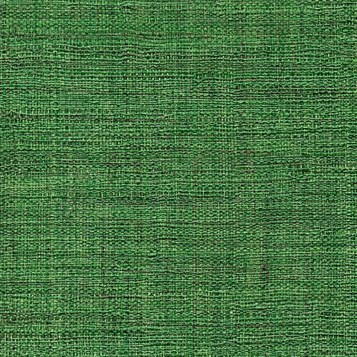 Élitis Raffia & Madagascar Madagascar VP 631 45 – dessin en kleur van dichtbij