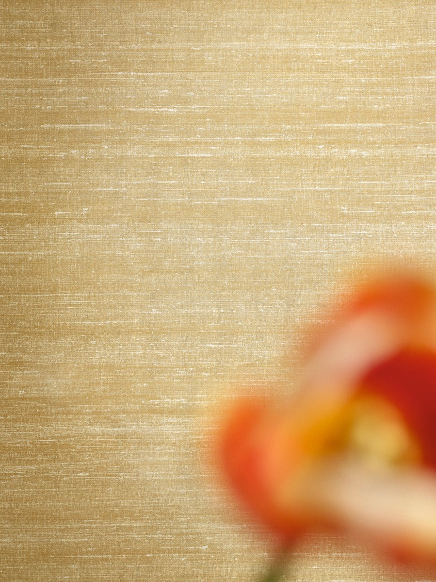 Élitis Soie Changeante Kosa Silk VP 928 13 in een sfeervol interieur