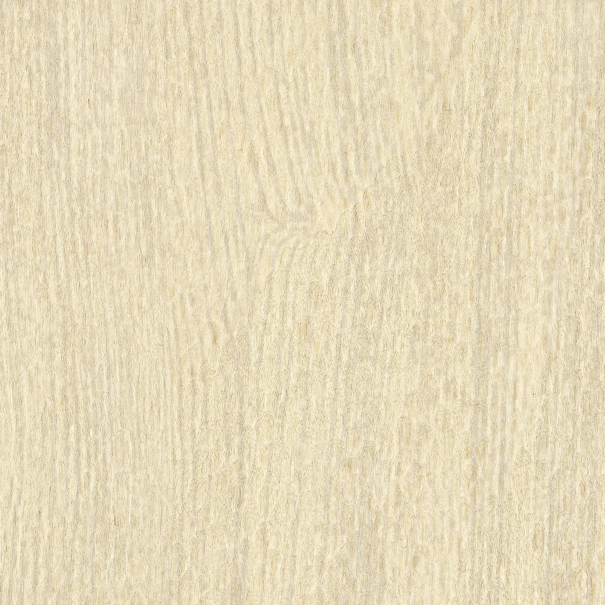 Élitis Bois Sculpté Gouge VP 936 01 – dessin en kleur van dichtbij