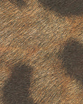 Élitis Sauvages Léopard VP 969 01 – dessin en kleur van dichtbij
