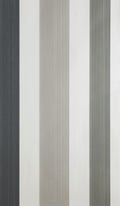 Farrow & Ball Chromatic Stripe 4201 behang