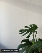 Klantfoto van Jane S. bij Farrow & Ball New White (59)