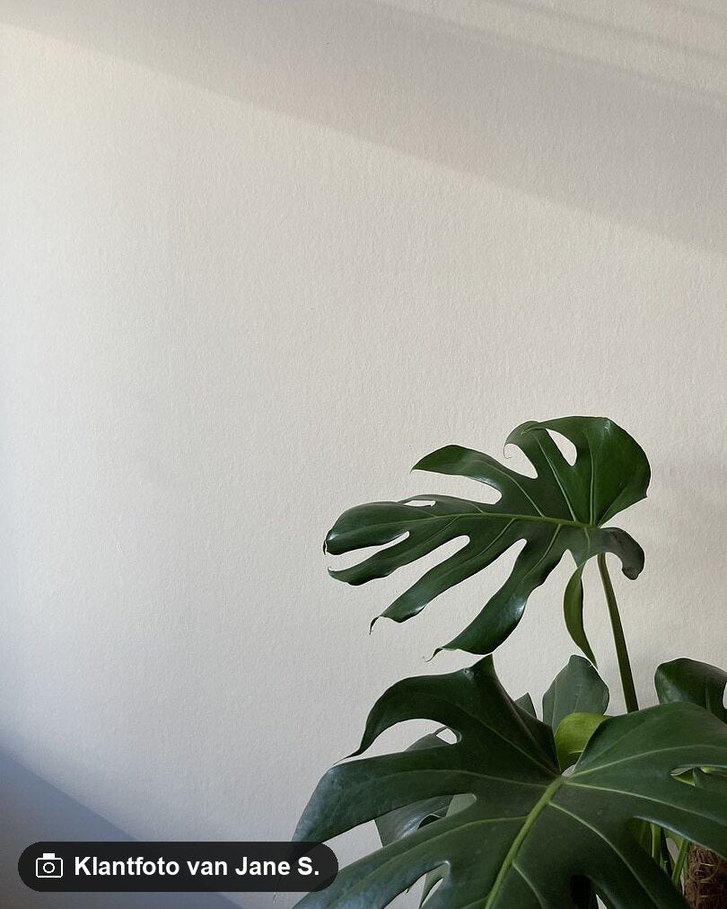 Klantfoto van Jane S. bij Farrow & Ball New White (59)