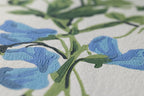 Farrow & Ball The Heritage Papers 6704 Sweet Pea behang, close-up van de print 2
