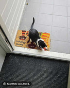 Klantfoto van Arie B. bij Hamat Ruco Print Home Sweet Home Cats - Kokosmat met tekst en katten - 40 x 60 cm