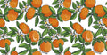 Hookedonwalls Enriquezland Tangerine 25540 behang