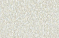 Hookedonwalls Academy Blumen 25651 behang