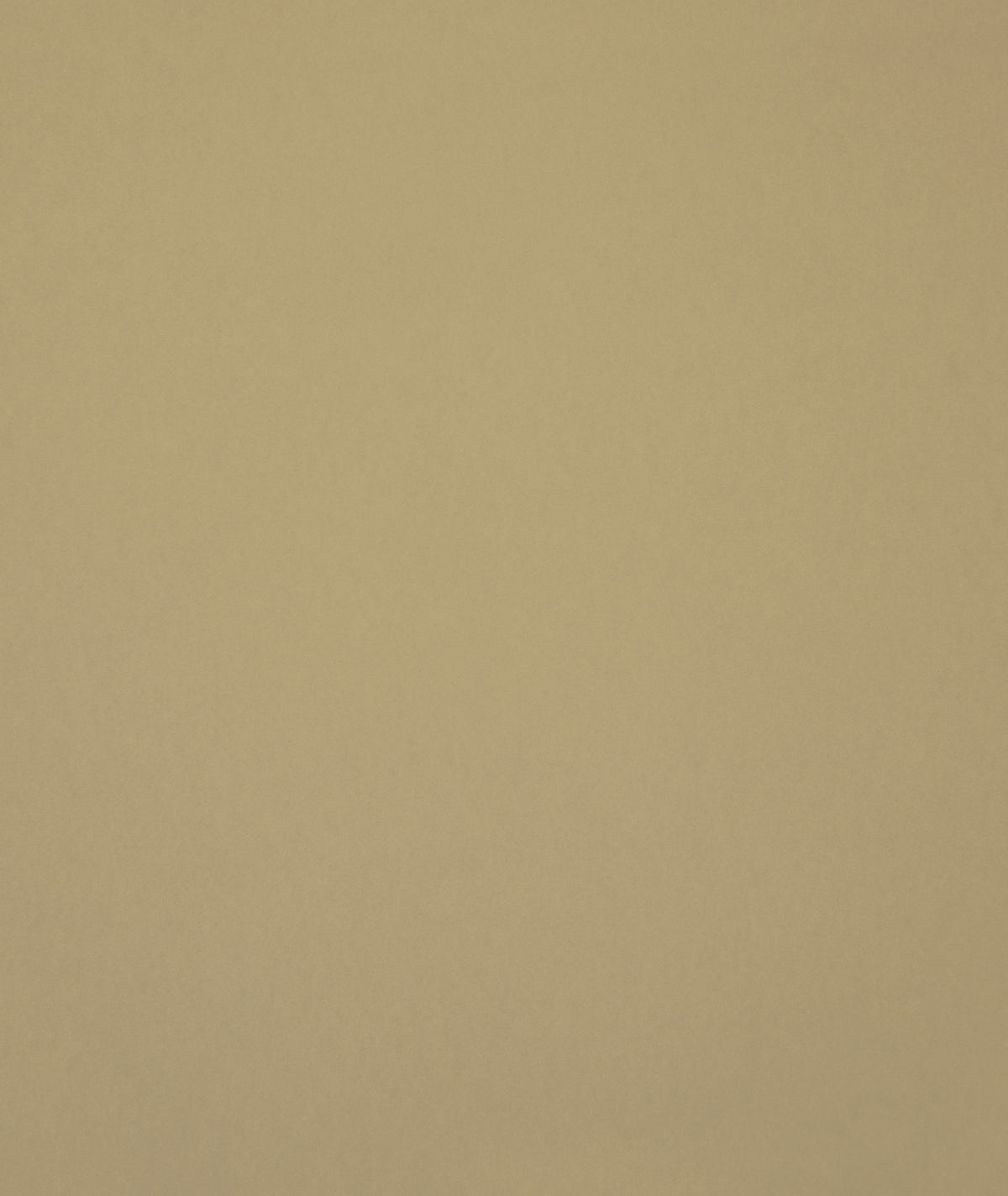 Hookedonwalls Young Traditionals Muro 27850 behang