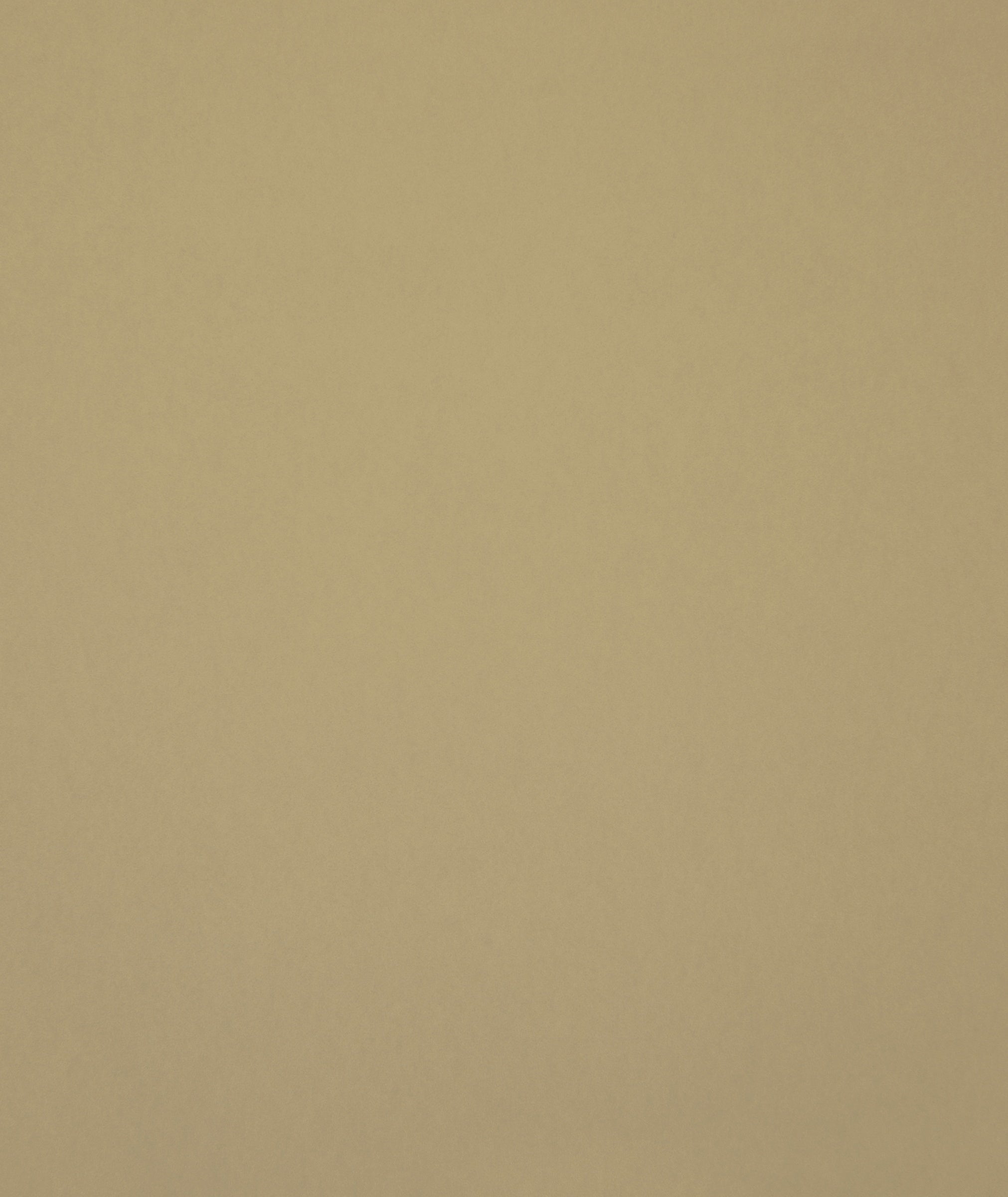 Hookedonwalls Young Traditionals Muro 27850 behang