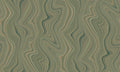 Hookedonwalls Passe Partout 2026 Colour Vibes Organic Lines 29800 behang