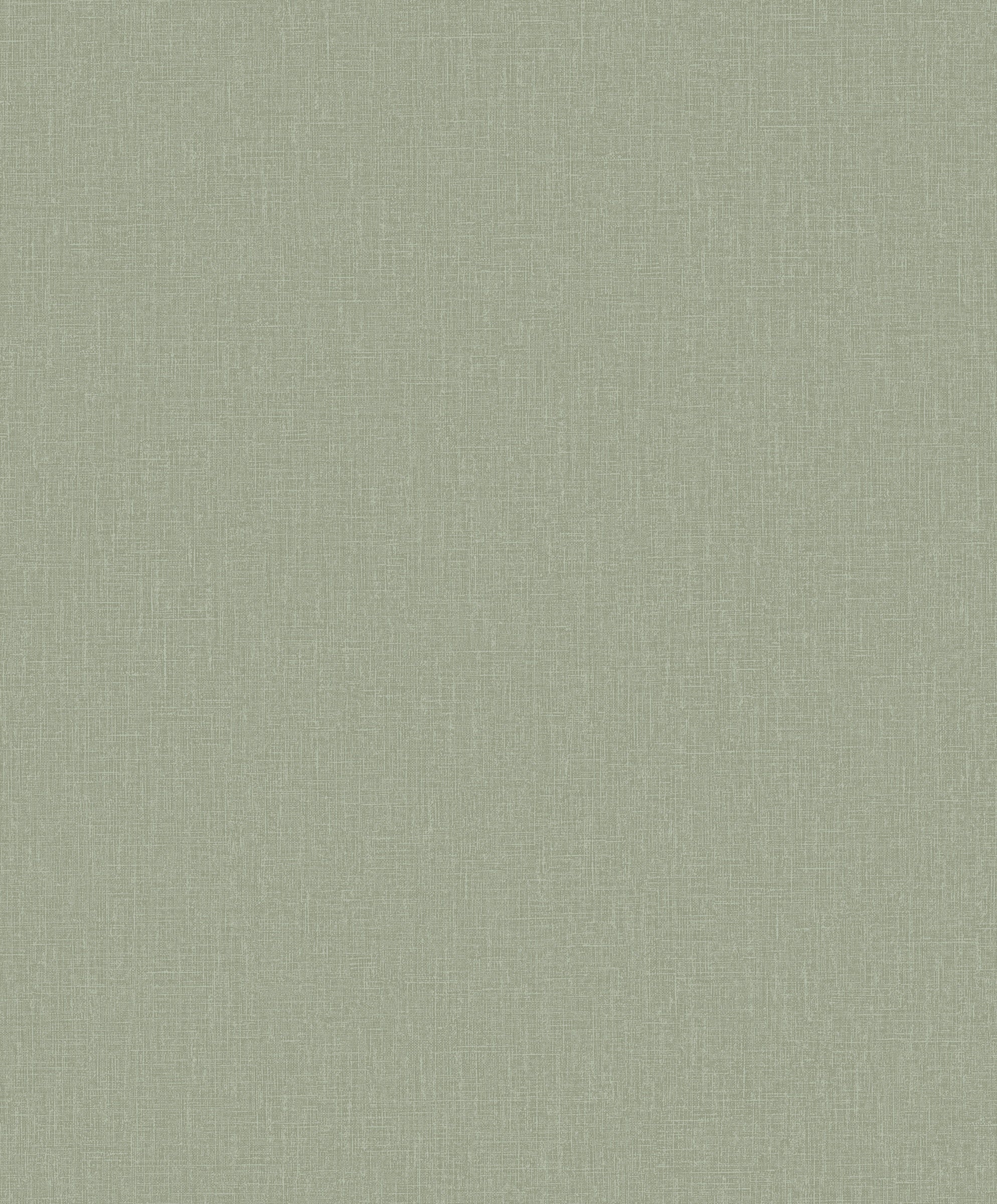 Hookedonwalls Passe Partout 2026 Colour Vibes Plain 29804 behang