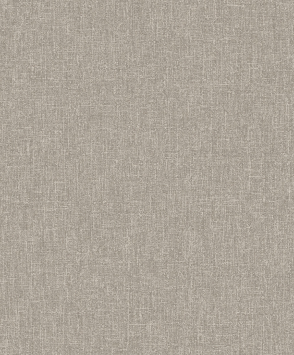Hookedonwalls Passe Partout 2026 Colour Vibes Plain 29838 behang