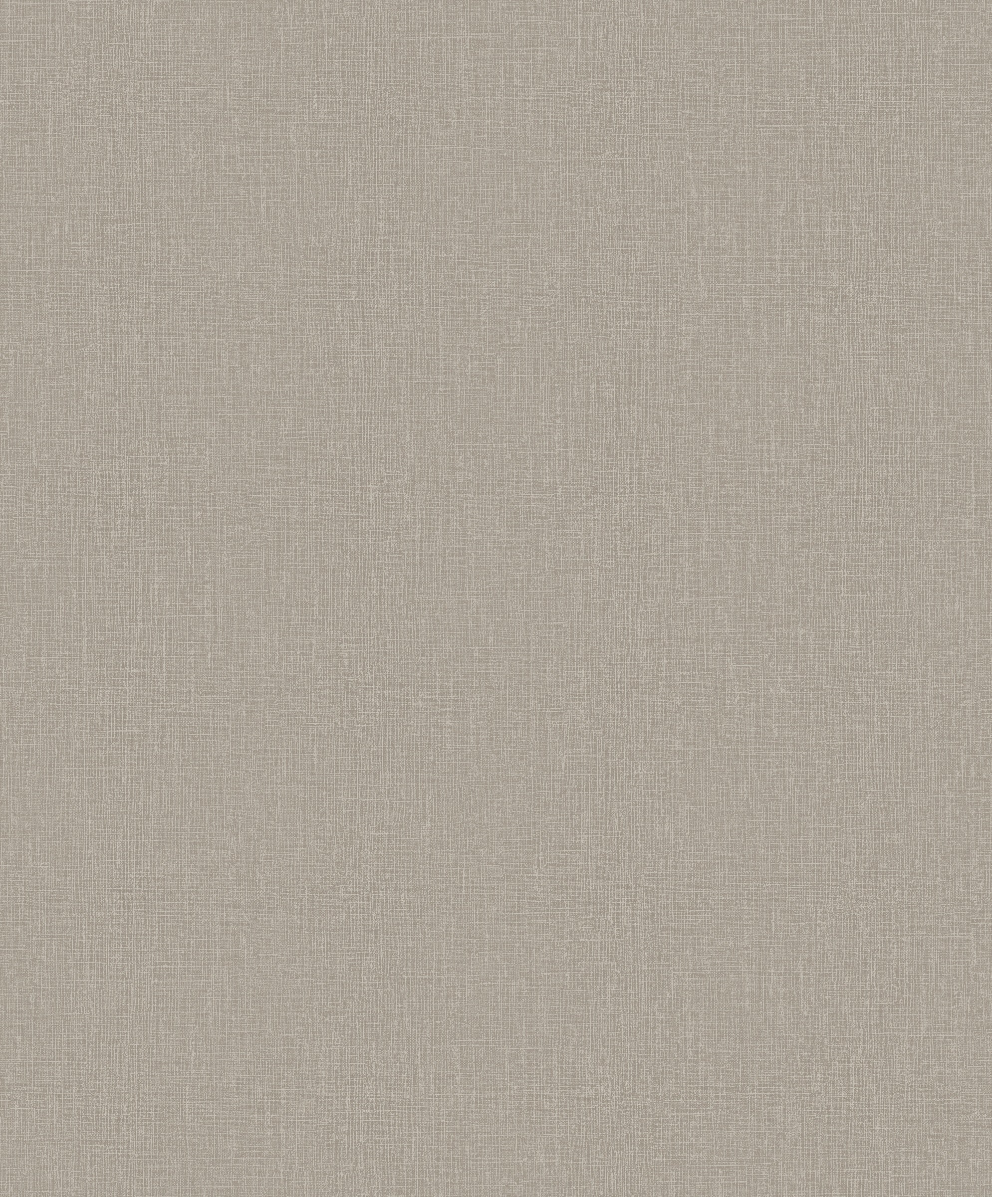 Hookedonwalls Passe Partout 2026 Colour Vibes Plain 29838 behang