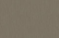 Hookedonwalls Passe Partout 2026 Colour Vibes Yucca Plain 29841 behang