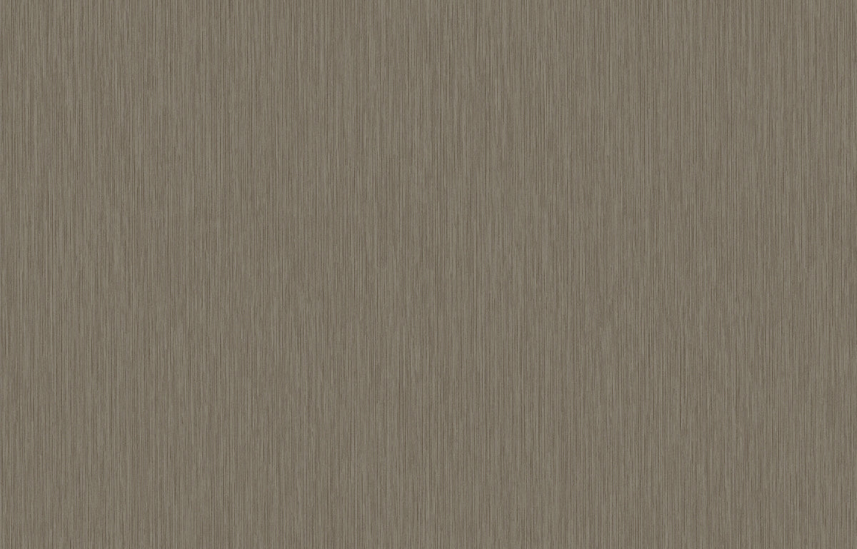 Hookedonwalls Passe Partout 2026 Colour Vibes Yucca Plain 29841 behang