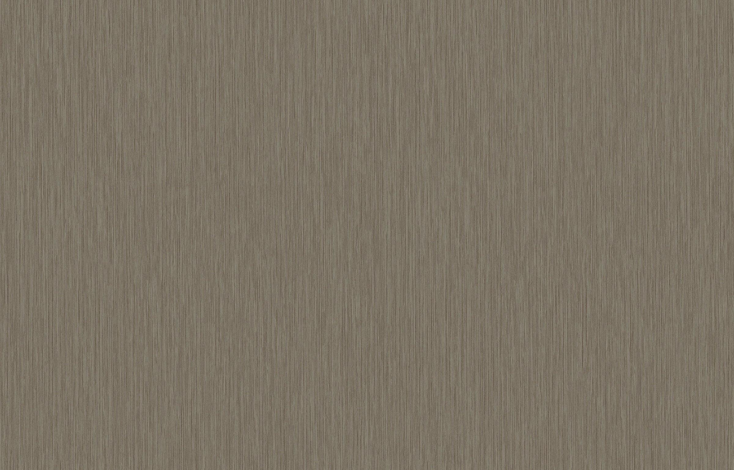 Hookedonwalls Passe Partout 2026 Colour Vibes Yucca Plain 29841 behang