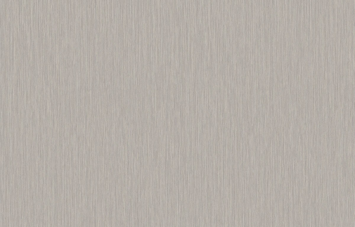 Hookedonwalls Passe Partout 2026 Colour Vibes Yucca Plain 29852 behang