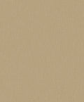 Hookedonwalls Passe Partout 2026 Colour Vibes Plain 29886 behang
