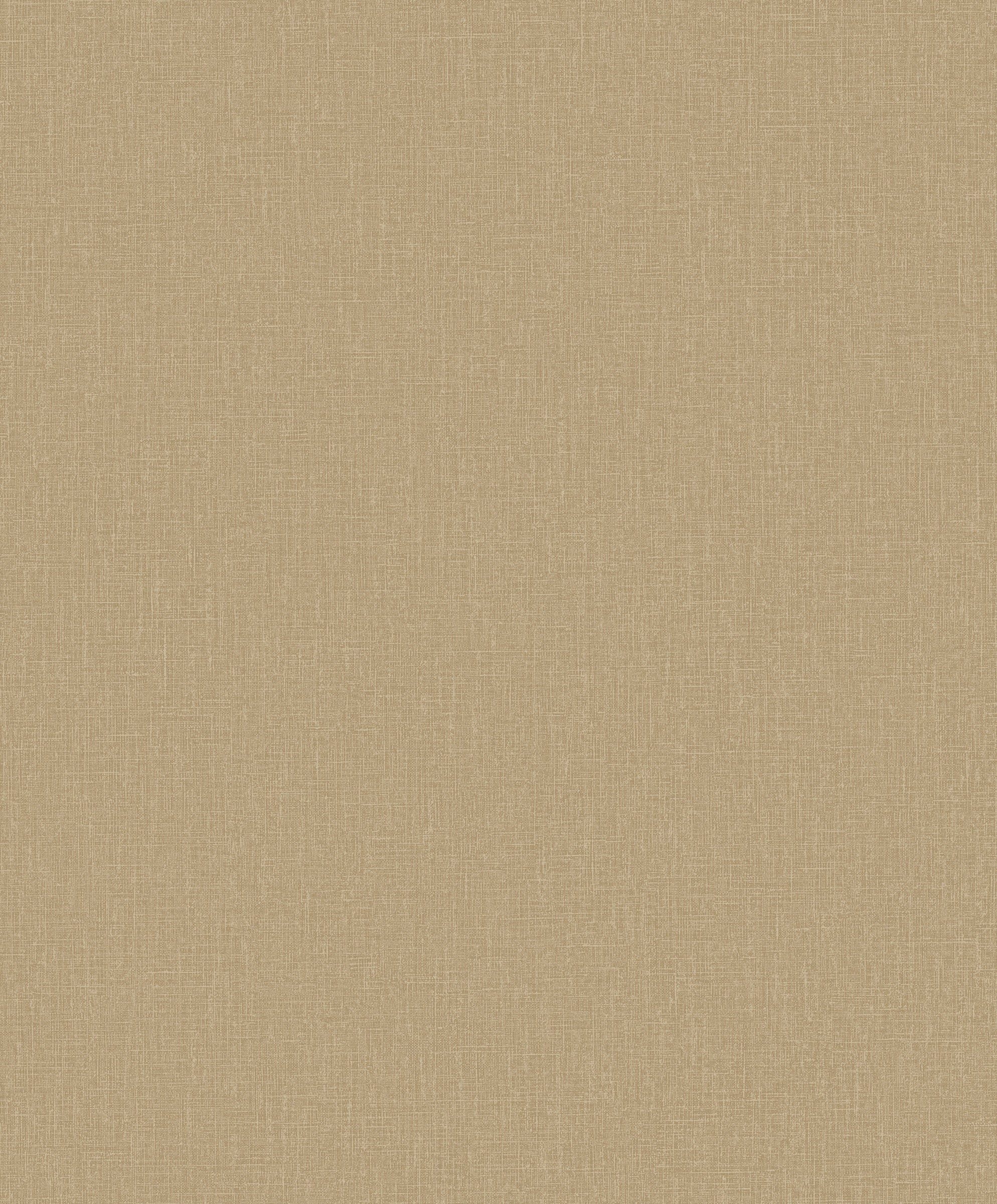 Hookedonwalls Passe Partout 2026 Colour Vibes Plain 29886 behang
