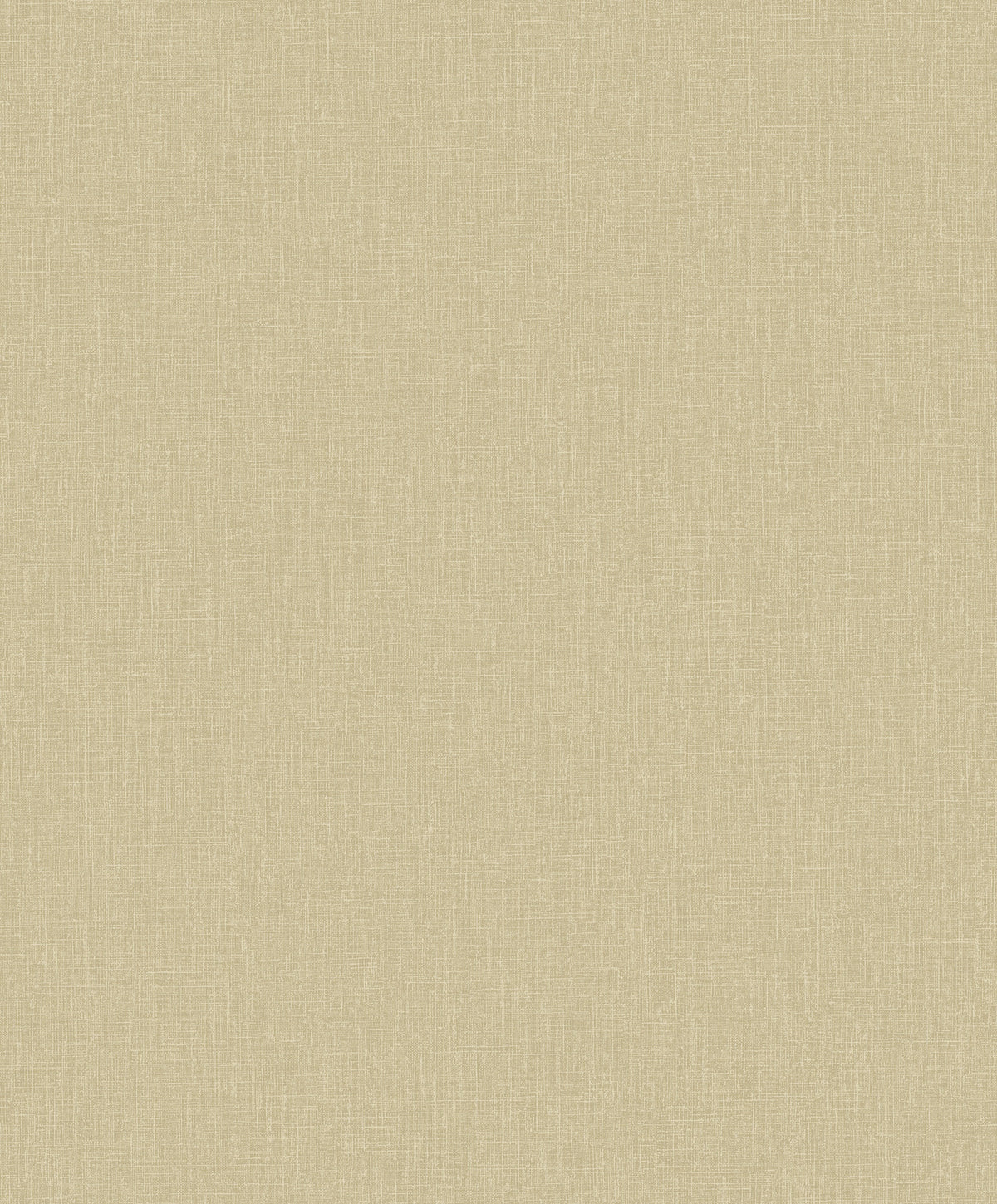 Hookedonwalls Passe Partout 2026 Colour Vibes Plain 29896 behang