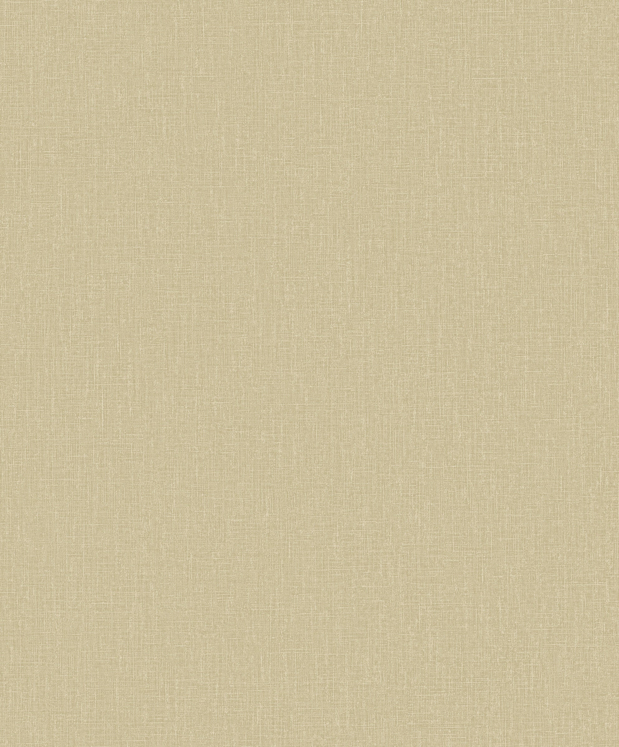 Hookedonwalls Passe Partout 2026 Colour Vibes Plain 29896 behang