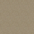 Hookedonwalls Passe Partout 2026 Colour Vibes Ambre 29905 behang