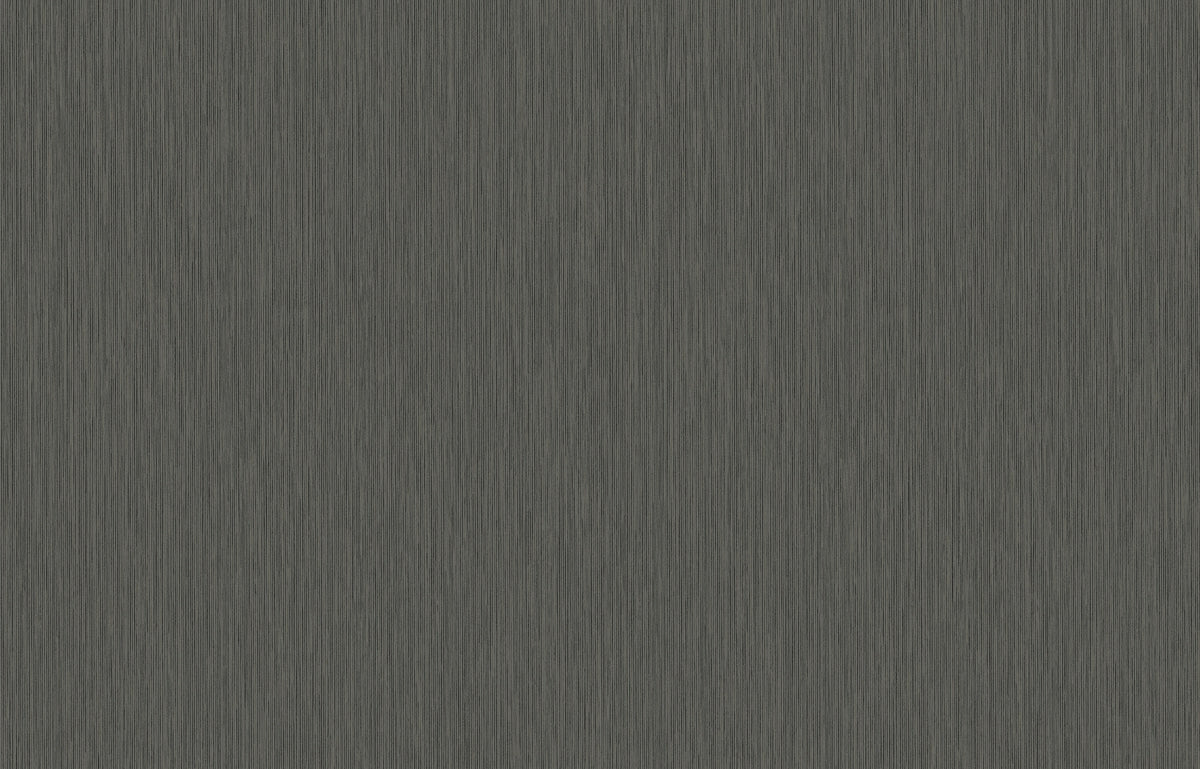 Hookedonwalls Passe Partout 2026 Colour Vibes Yucca Plain 29933 behang