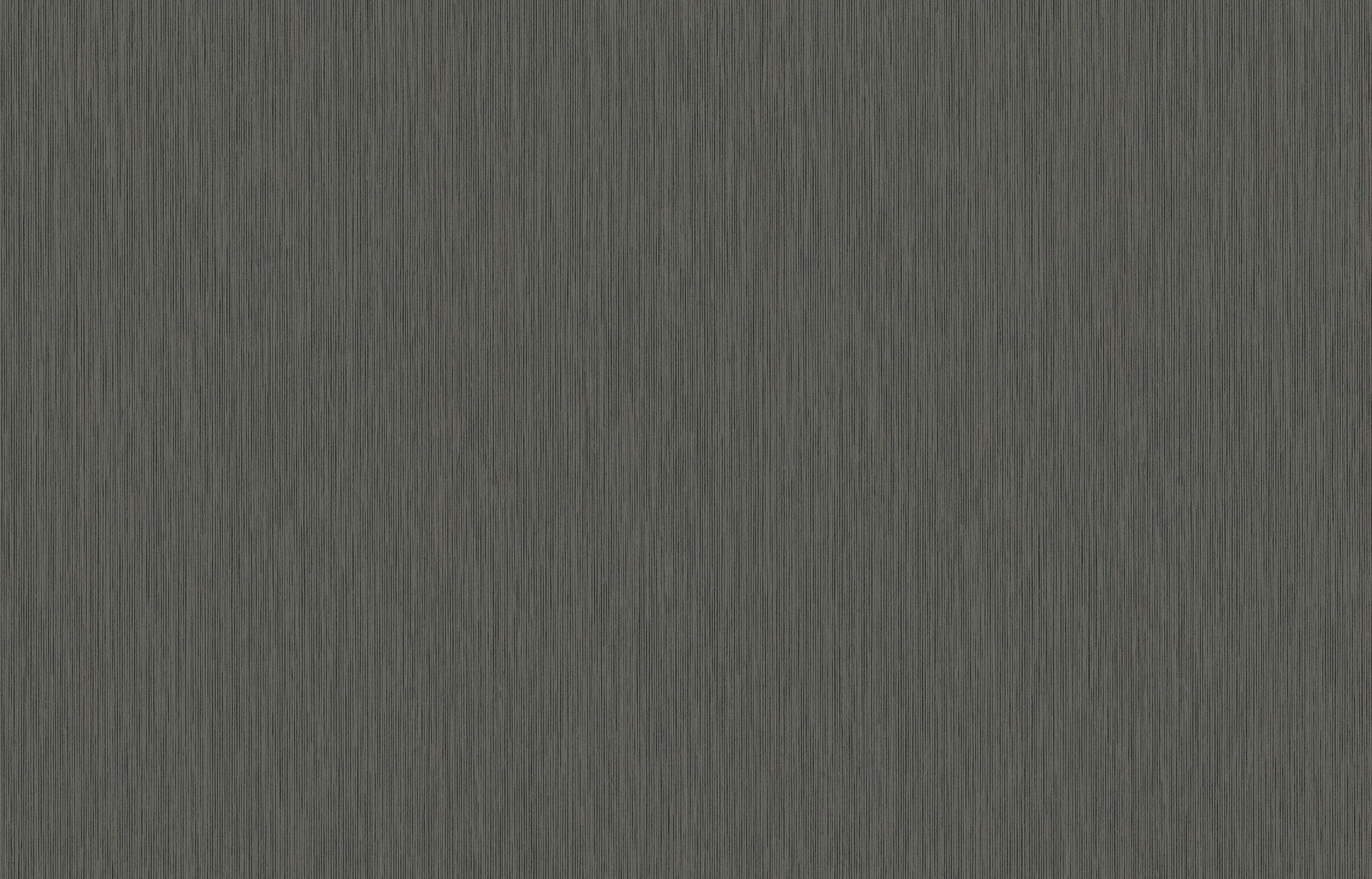 Hookedonwalls Passe Partout 2026 Colour Vibes Yucca Plain 29933 behang