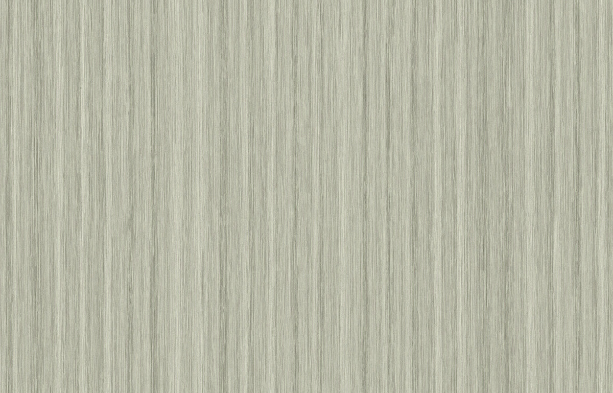 Hookedonwalls Passe Partout 2026 Colour Vibes Yucca Plain 29949 behang