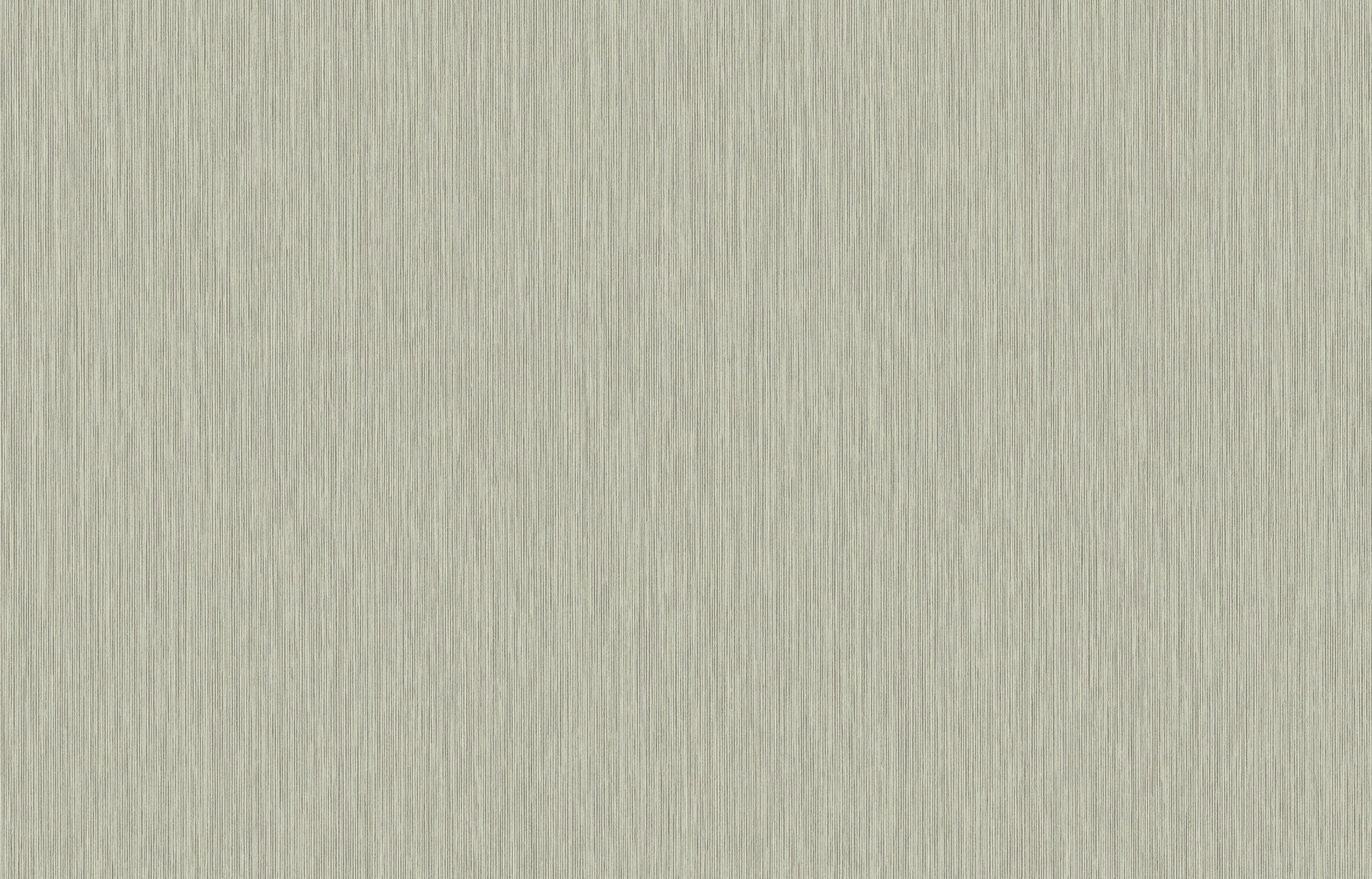 Hookedonwalls Passe Partout 2026 Colour Vibes Yucca Plain 29949 behang