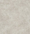 Hookedonwalls Livingstone Sandstone 53730 behang